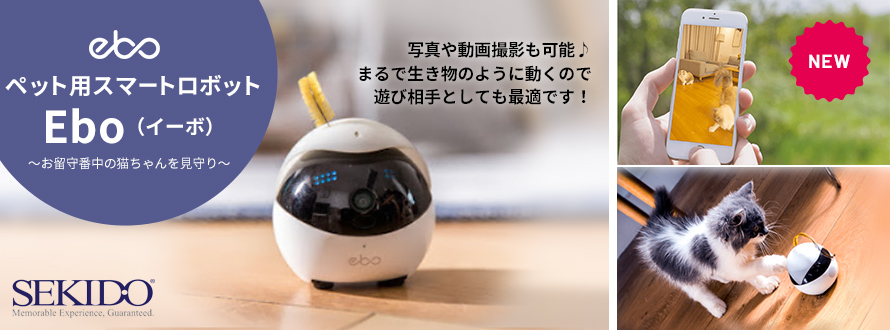 ペット用ロボット Ebo_02