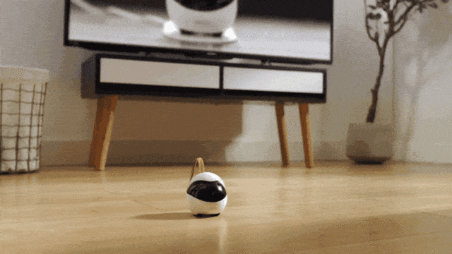 ペット用ロボット Ebo_05