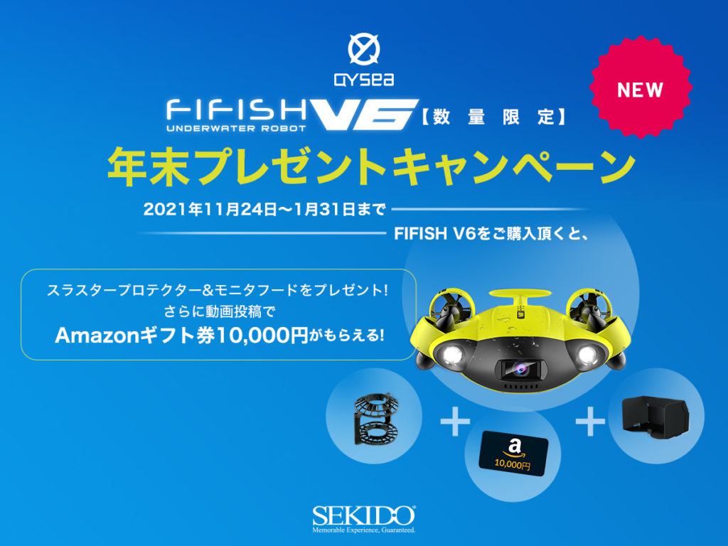 PR_image_fifish211117_s