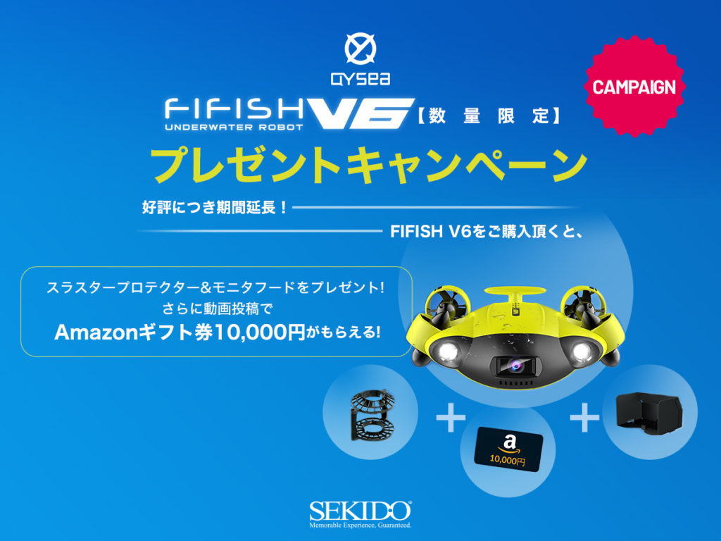 PR_image_fifish211117
